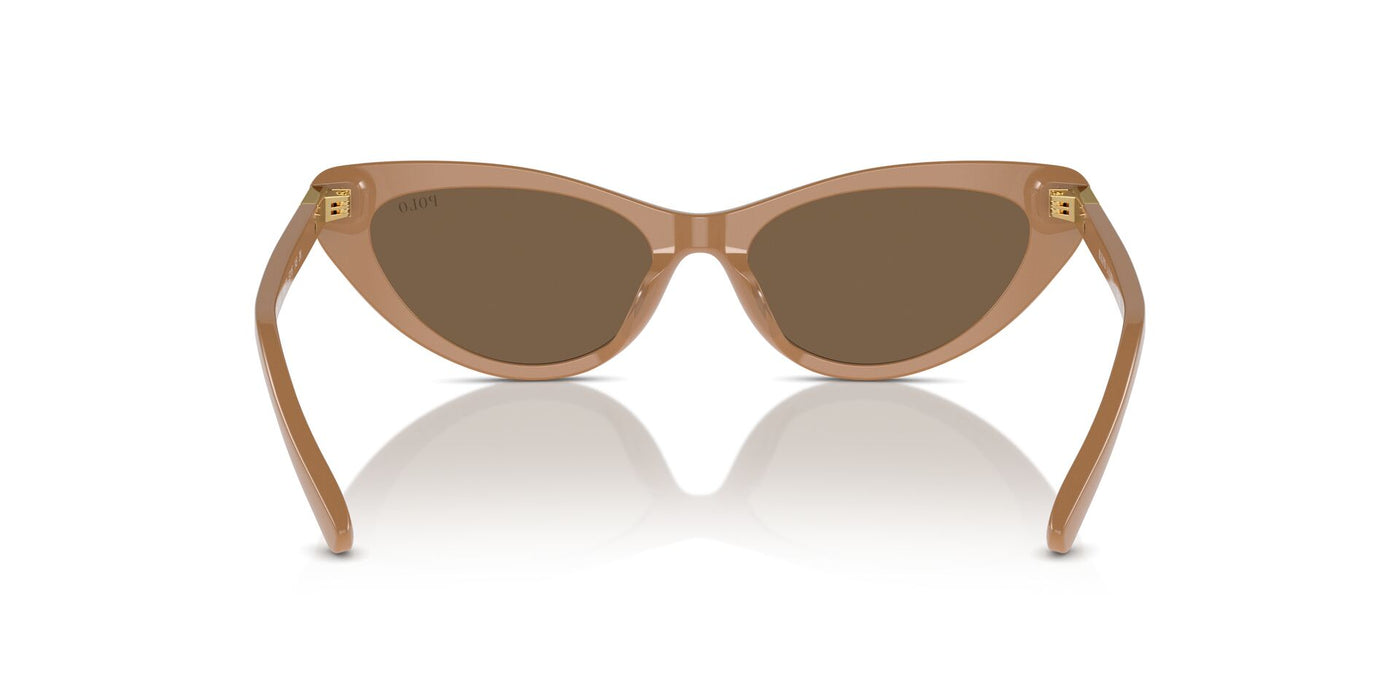 Polo Ralph Lauren PH4199U Shiny Brown/Dark Brown #colour_shiny-brown-dark-brown