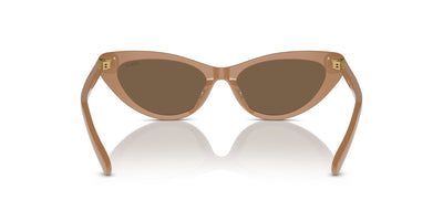 Polo Ralph Lauren PH4199U Shiny Brown/Dark Brown #colour_shiny-brown-dark-brown