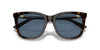 Polo Ralph Lauren PH4201U Shiny Dark Havana/Blue #colour_shiny-dark-havana-blue