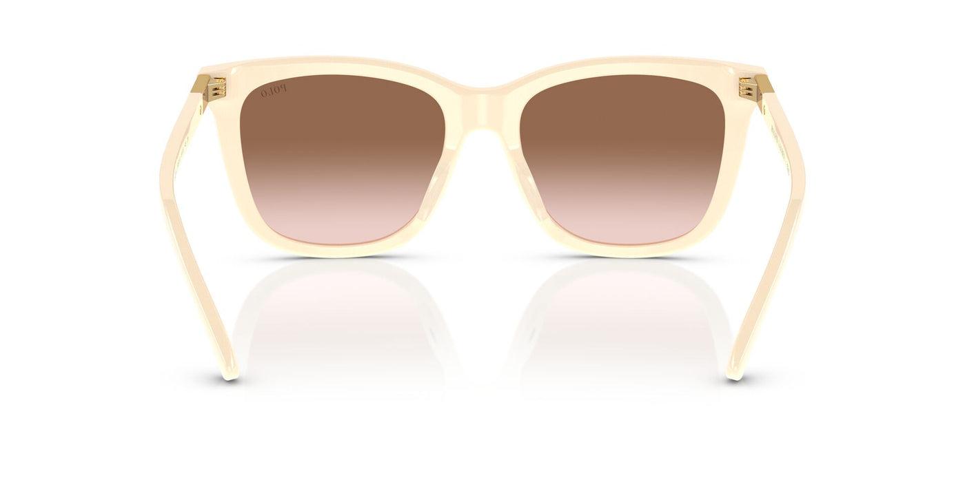 Polo Ralph Lauren PH4201U Shiny Cream/Brown Gradient #colour_shiny-cream-brown-gradient