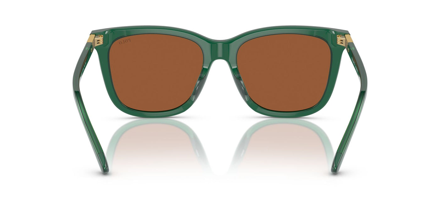 Polo Ralph Lauren PH4201U Shiny Transparent Green/Brown #colour_shiny-transparent-green-brown