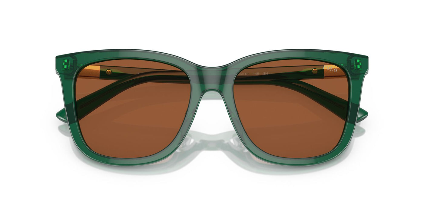 Polo Ralph Lauren PH4201U Shiny Transparent Green/Brown #colour_shiny-transparent-green-brown