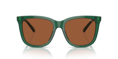 Polo Ralph Lauren PH4201U Shiny Transparent Green/Brown #colour_shiny-transparent-green-brown