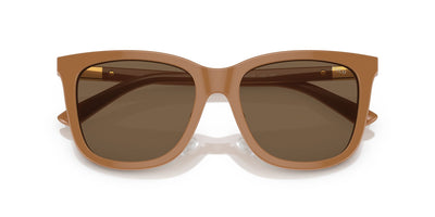 Polo Ralph Lauren PH4201U Shiny Brown/Dark Brown #colour_shiny-brown-dark-brown