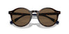 Polo Ralph Lauren PH4204U Shiny Dark Havana/Brown #colour_shiny-dark-havana-brown