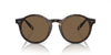 Polo Ralph Lauren PH4204U Shiny Dark Havana/Brown #colour_shiny-dark-havana-brown