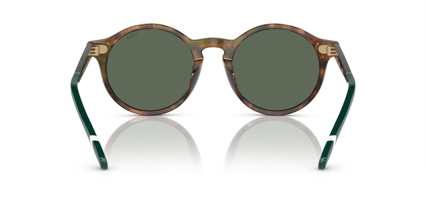 Polo Ralph Lauren PH4204U Shiny Brown Tortoise/Bottle Green #colour_shiny-brown-tortoise-bottle-green