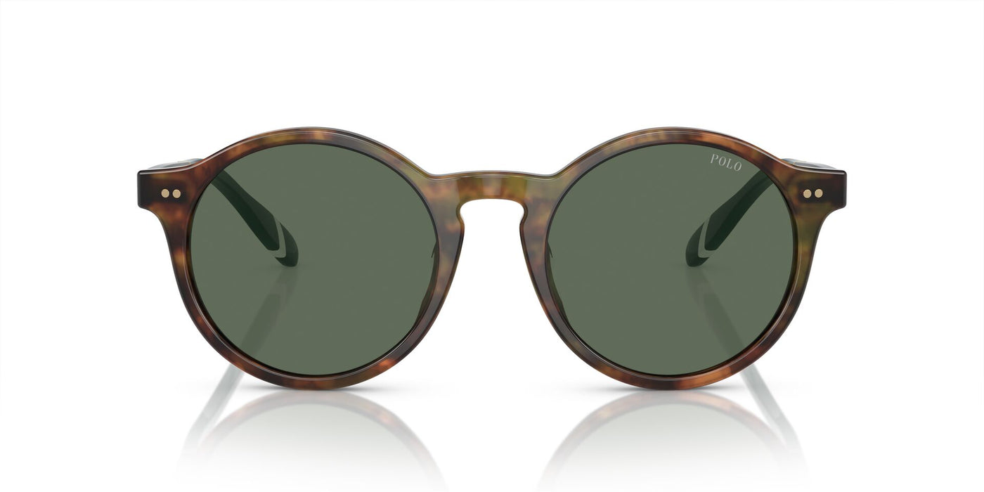 Polo Ralph Lauren PH4204U Shiny Brown Tortoise/Bottle Green #colour_shiny-brown-tortoise-bottle-green