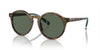 Polo Ralph Lauren PH4204U Shiny Brown Tortoise/Bottle Green #colour_shiny-brown-tortoise-bottle-green