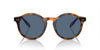 Polo Ralph Lauren PH4204U Shiny Red Havana/Blue #colour_shiny-red-havana-blue
