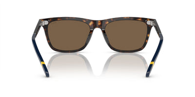 Polo Ralph Lauren PH4205U Shiny Dark Havana/Brown #colour_shiny-dark-havana-brown