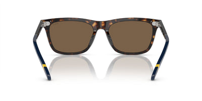 Polo Ralph Lauren PH4205U Shiny Dark Havana/Brown #colour_shiny-dark-havana-brown