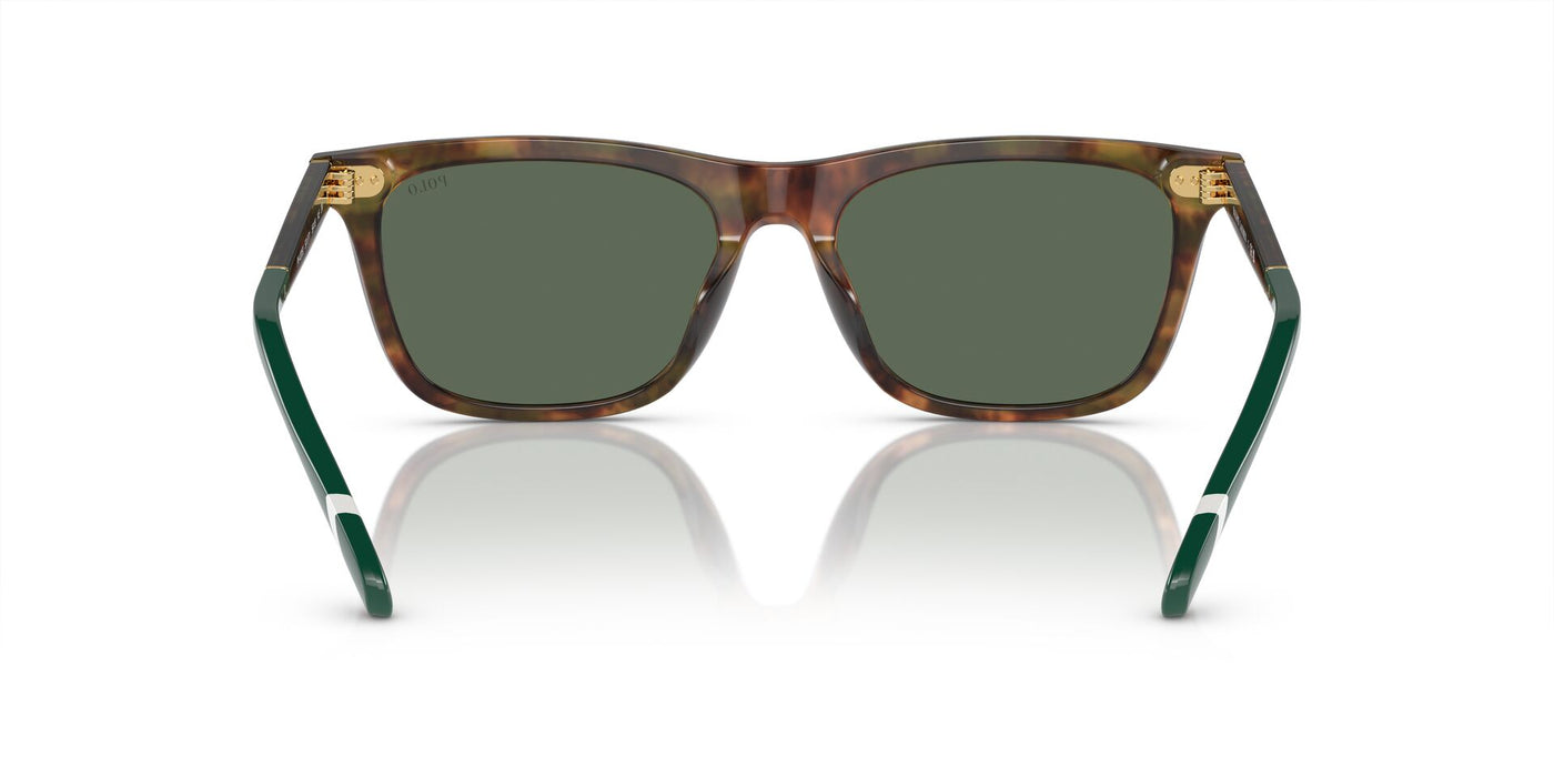 Polo Ralph Lauren PH4205U Shiny Brown Tortoise/Bottle Green #colour_shiny-brown-tortoise-bottle-green