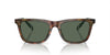 Polo Ralph Lauren PH4205U Shiny Brown Tortoise/Bottle Green #colour_shiny-brown-tortoise-bottle-green