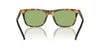 Polo Ralph Lauren PH4205U Shiny Red Havana/Light Green #colour_shiny-red-havana-light-green