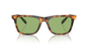 Polo Ralph Lauren PH4205U Shiny Red Havana/Light Green #colour_shiny-red-havana-light-green