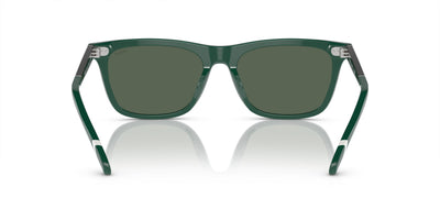 Polo Ralph Lauren PH4205U Shiny Green/Green #colour_shiny-green-green
