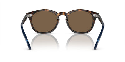 Polo Ralph Lauren PH4206 Shiny Dark Havana/Brown #colour_shiny-dark-havana-brown