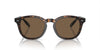 Polo Ralph Lauren PH4206 Shiny Dark Havana/Brown #colour_shiny-dark-havana-brown