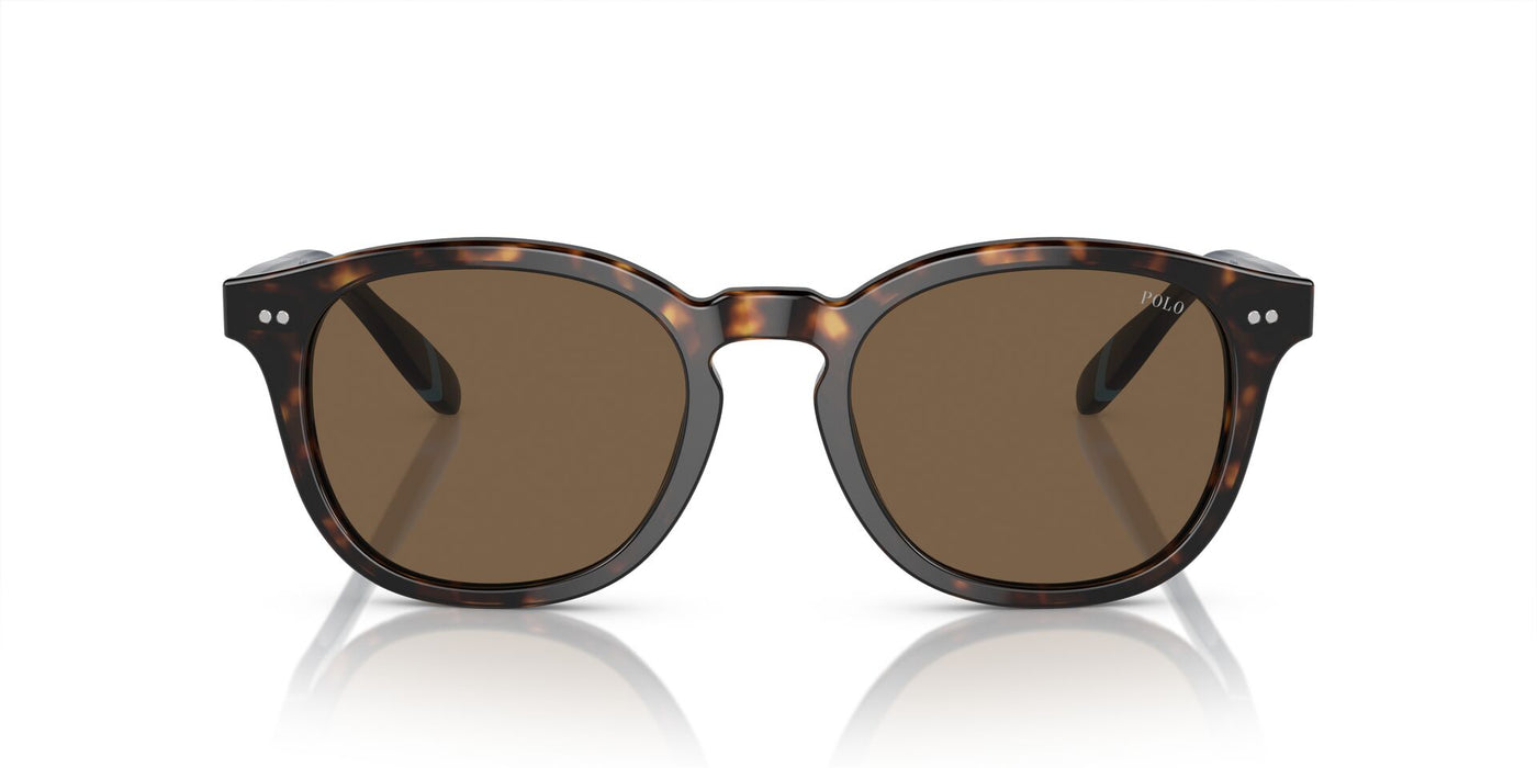 Polo Ralph Lauren PH4206 Shiny Dark Havana/Brown #colour_shiny-dark-havana-brown