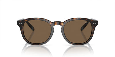 Polo Ralph Lauren PH4206 Shiny Dark Havana/Brown #colour_shiny-dark-havana-brown