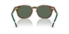 Polo Ralph Lauren PH4206 Shiny Brown Tortoise/Bottle Green #colour_shiny-brown-tortoise-bottle-green