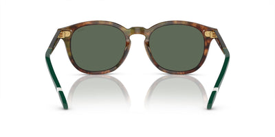 Polo Ralph Lauren PH4206 Shiny Brown Tortoise/Bottle Green #colour_shiny-brown-tortoise-bottle-green