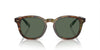 Polo Ralph Lauren PH4206 Shiny Brown Tortoise/Bottle Green #colour_shiny-brown-tortoise-bottle-green