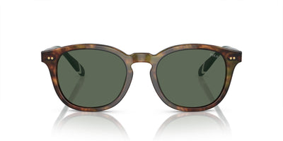 Polo Ralph Lauren PH4206 Shiny Brown Tortoise/Bottle Green #colour_shiny-brown-tortoise-bottle-green