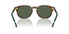 Polo Ralph Lauren PH4206 Shiny Brown Tortoise/Bottle Green Polarised #colour_shiny-brown-tortoise-bottle-green-polarised