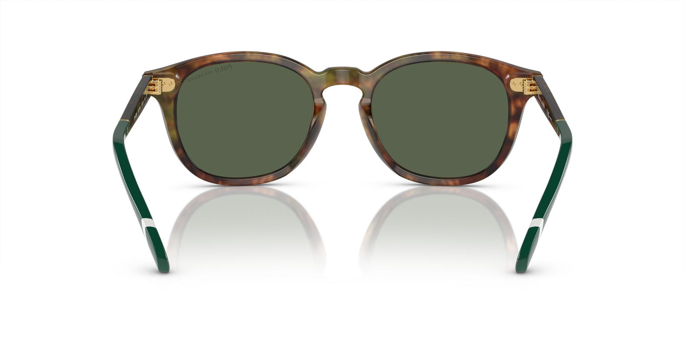 Polo Ralph Lauren PH4206 Shiny Brown Tortoise/Bottle Green Polarised #colour_shiny-brown-tortoise-bottle-green-polarised