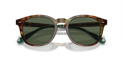 Polo Ralph Lauren PH4206 Shiny Brown Tortoise/Bottle Green Polarised #colour_shiny-brown-tortoise-bottle-green-polarised