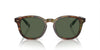 Polo Ralph Lauren PH4206 Shiny Brown Tortoise/Bottle Green Polarised #colour_shiny-brown-tortoise-bottle-green-polarised