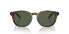 Polo Ralph Lauren PH4206 Shiny Brown Tortoise/Bottle Green Polarised #colour_shiny-brown-tortoise-bottle-green-polarised