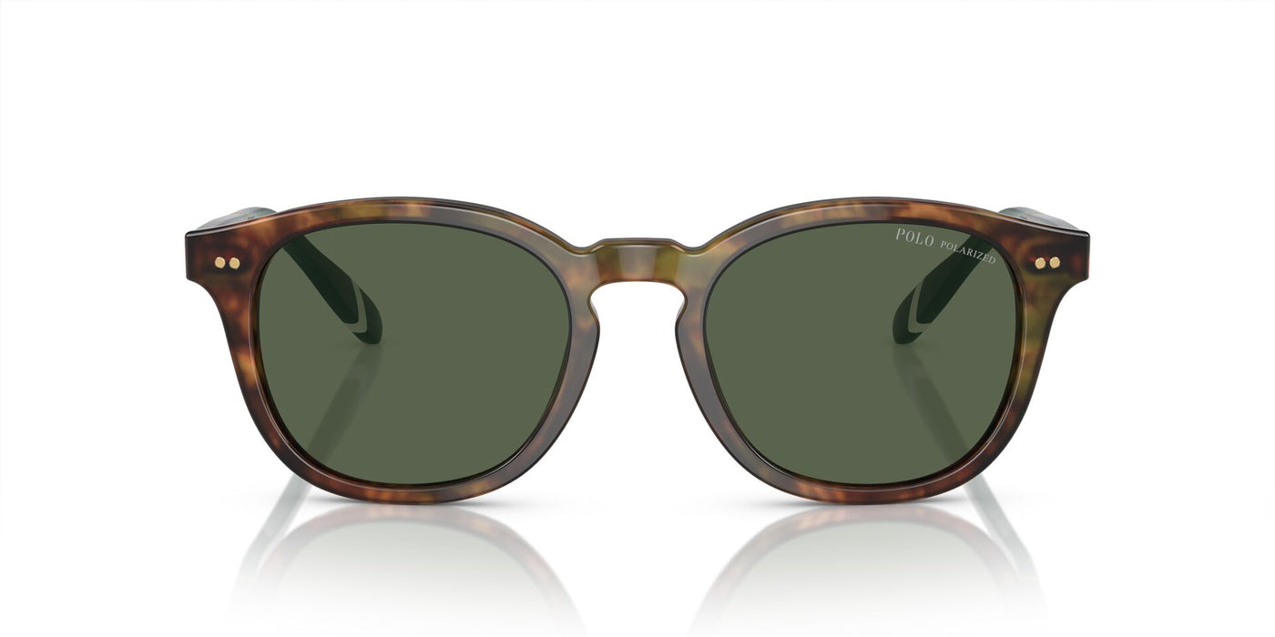 Polo Ralph Lauren PH4206 Shiny Brown Tortoise/Bottle Green Polarised #colour_shiny-brown-tortoise-bottle-green-polarised