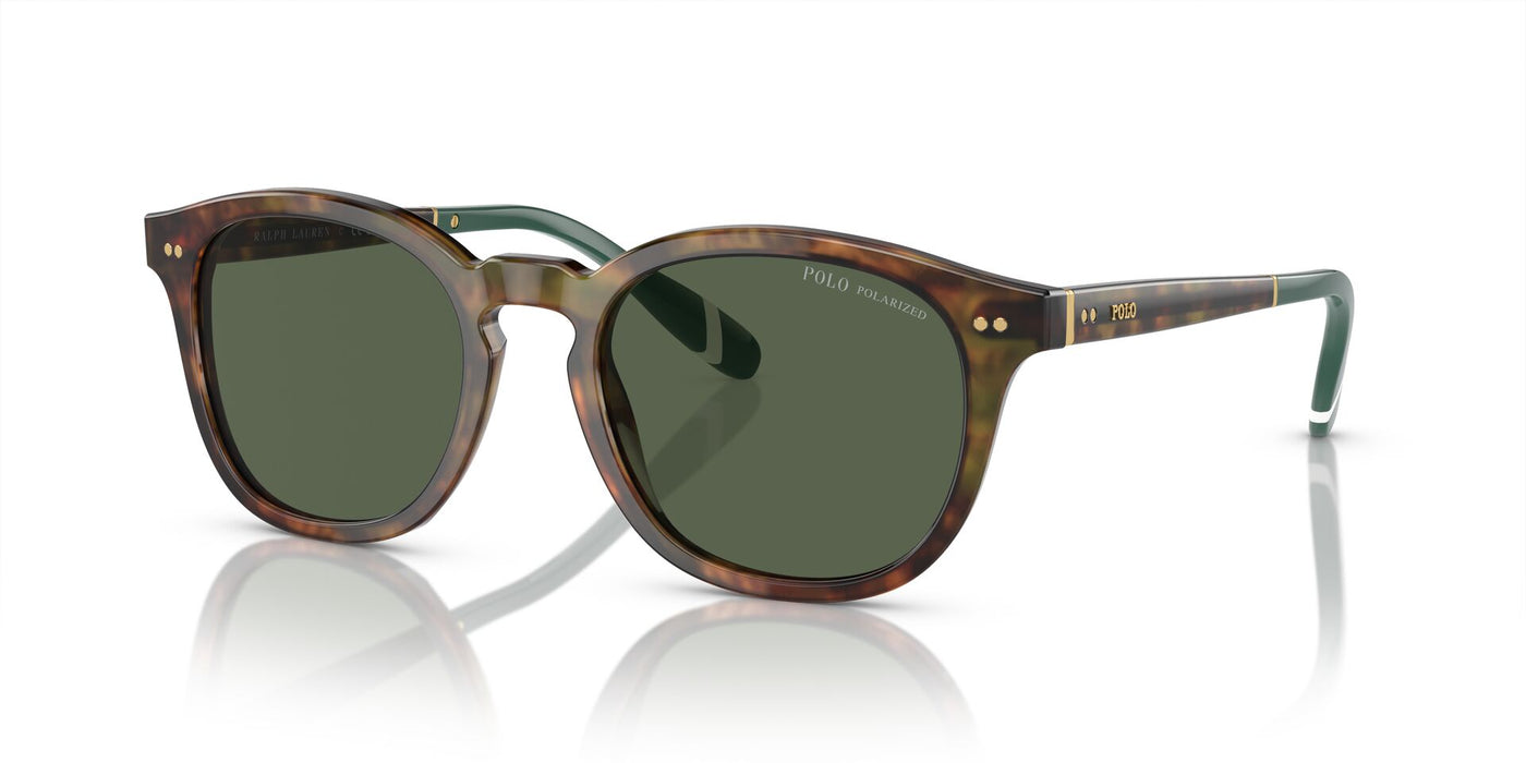 Polo Ralph Lauren PH4206 Shiny Brown Tortoise/Bottle Green Polarised #colour_shiny-brown-tortoise-bottle-green-polarised