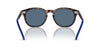Polo Ralph Lauren PH4206 Shiny Havana/Blue #colour_shiny-havana-blue