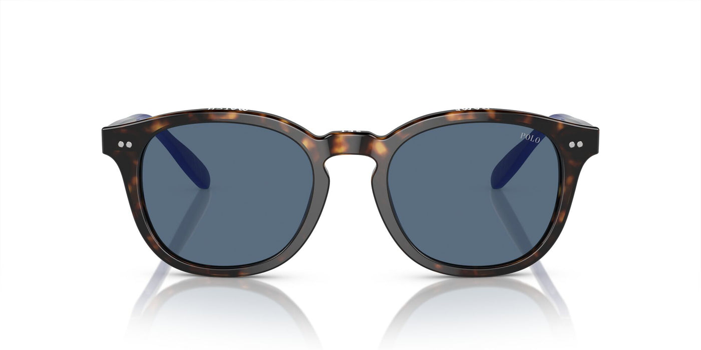 Polo Ralph Lauren PH4206 Shiny Havana/Blue #colour_shiny-havana-blue