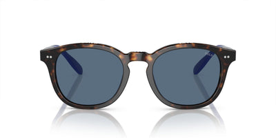 Polo Ralph Lauren PH4206 Shiny Havana/Blue #colour_shiny-havana-blue