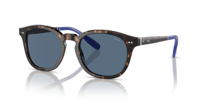 Polo Ralph Lauren PH4206 Shiny Havana/Blue #colour_shiny-havana-blue