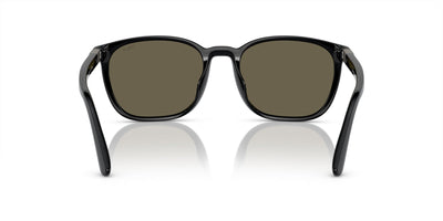 Polo Ralph Lauren PH4208U Shiny Black/Brown #colour_shiny-black-brown