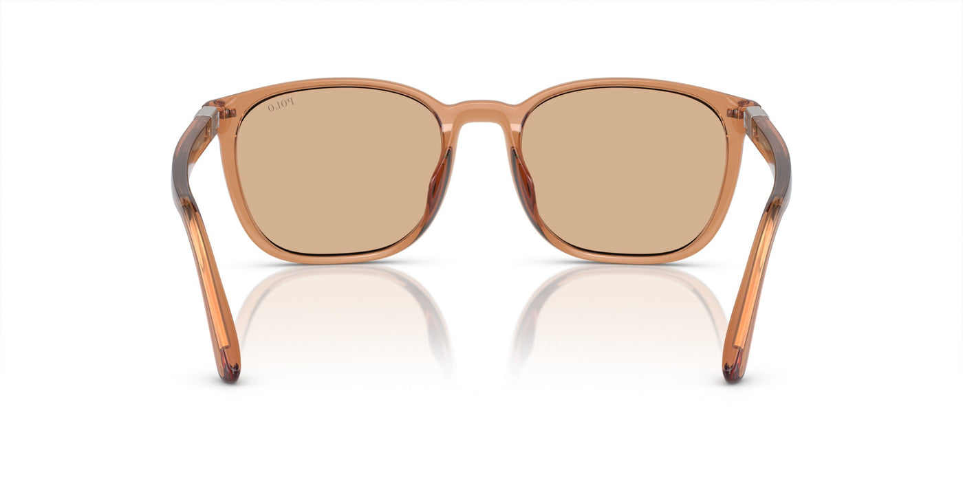 Polo Ralph Lauren PH4208U Shiny Transparent Brown/Light Brown #colour_shiny-transparent-brown-light-brown