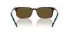 Polo Ralph Lauren PH4212 Shiny Brown Tortoise/Olive Green #colour_shiny-brown-tortoise-olive-green