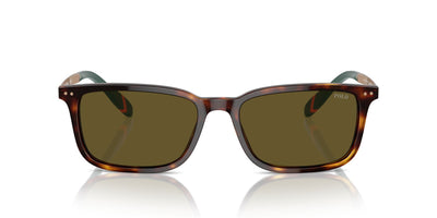 Polo Ralph Lauren PH4212 Shiny Brown Tortoise/Olive Green #colour_shiny-brown-tortoise-olive-green