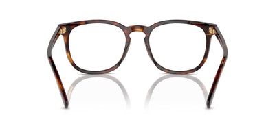 Polo Ralph Lauren PH4214 Shiny Brown Tortoise/Brown #colour_shiny-brown-tortoise-brown