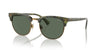 Polo Ralph Lauren PH4217 Shiny Green Havana/Bottle Green #colour_shiny-green-havana-bottle-green