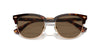 Polo Ralph Lauren PH4217 Shiny Brown Tortoise/Brown #colour_shiny-brown-tortoise-brown