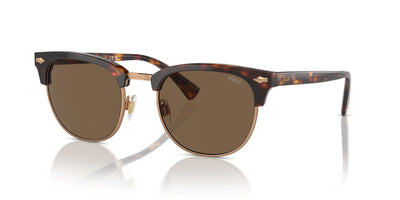 Polo Ralph Lauren PH4217 Shiny Brown Tortoise/Brown #colour_shiny-brown-tortoise-brown