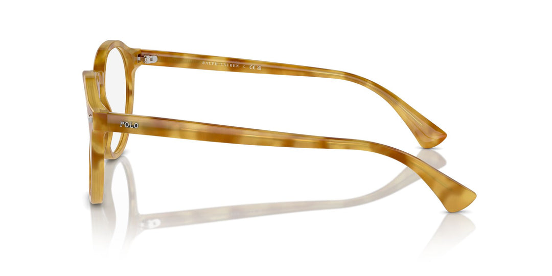 Polo Ralph Lauren PH4218 Round Sunglasses | Fashion Eyewear US
