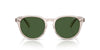 Polo Ralph Lauren PH4221 Shiny Transparent Light Taupe/Bottle Green #colour_shiny-transparent-light-taupe-bottle-green